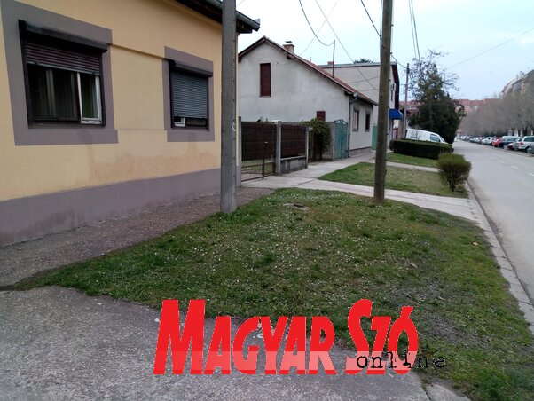 A közszemlére bocsátott két területrendezési terv szerint a Heréskertben megjavítják az úttesteket, a régi lakóházak helyébe pedig iskolát és óvodát  építenek a közeljövőben. A Stevan Mokranjac utcában még akad mit „területrendezni”, azaz lerombolni (Ótos András felvétele)