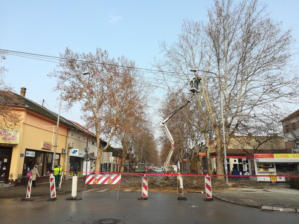 Több héten át időszakos forgalomkorlátozás lesz a Zöldfás utcában (Fotó: Fehér Rózsa)