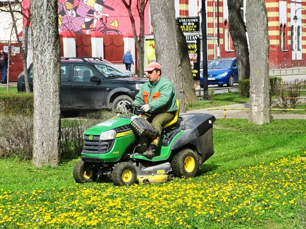 Elkezdődött a fűnyírási szezon (Fotó: Fekete J. József)
