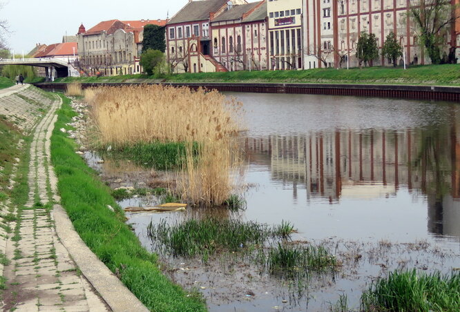 A víz színe egyre sötétedik (Fotó: Kecskés István)