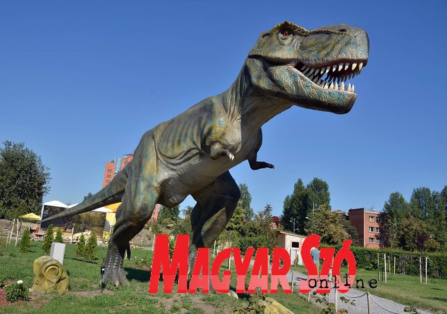 Fotó: Ótos András