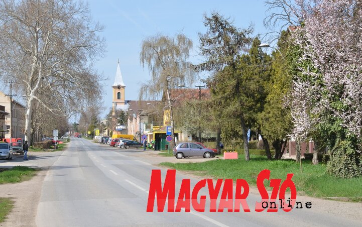 Kishegyes tavasszal, Fotó: Lakatos János