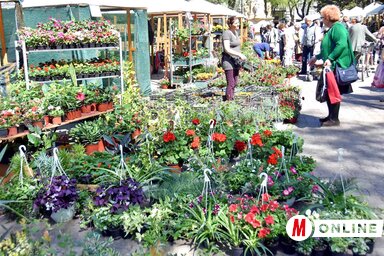 (Fotó: Gergely Árpád)