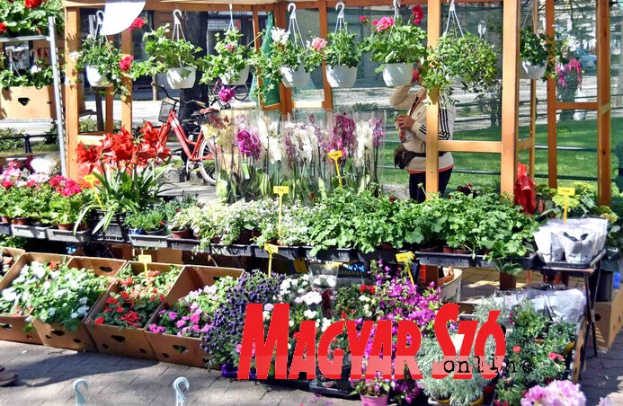 (Fotó: Gergely Árpád)