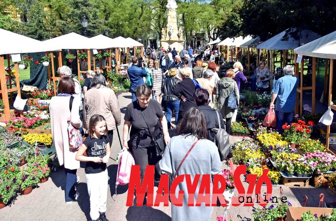Már az első napon sokan vásároltak (Fotó: Gergely Árpád)