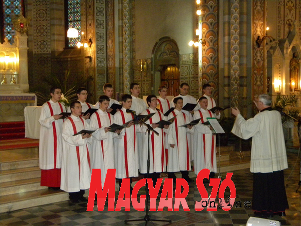 Schola Cantorum – a Paulinum énekkara (Gergely Árpád felvétele) Schola Cantorum – a Paulinum énekkara (Gergely Árpád felvétele)
