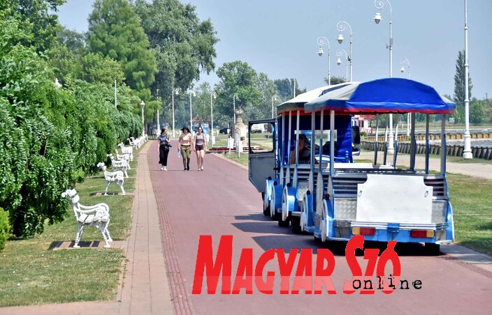 A hétvégére megtelik majd a palicsi sétány (Fotó: Gergely Árpád)