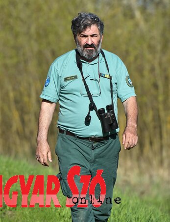 Széll Antal három évtizede vigyázza és tanulmányozza a túzokokat (Gergely József felvétele) Széll Antal három évtizede vigyázza és tanulmányozza a túzokokat (Gergely József felvétele)