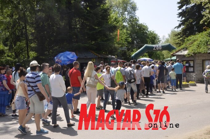 Kígyózó sorok az állatkert pénztáránál (Fotó: Patyi Szilárd) Kígyózó sorok az állatkert pénztáránál (Fotó: Patyi Szilárd)