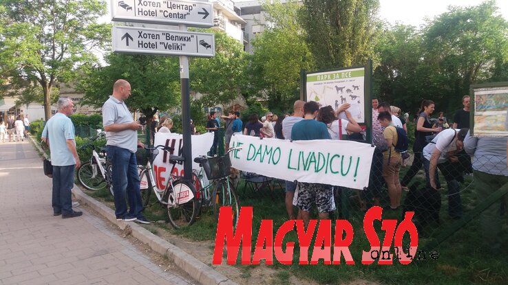 Brankica Brankov felvétele