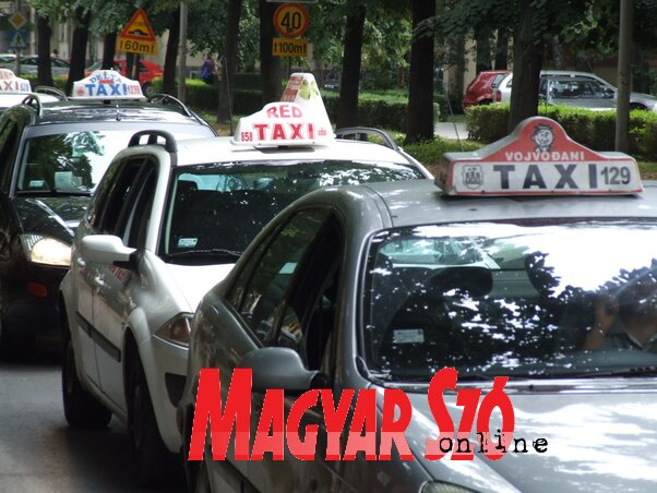 Az új szabályzatnak az a célja, hogy rendezze az újvidéki taxiszolgáltatások terén kialakult kaotikus helyzetet (Dávid Csilla felvétele)