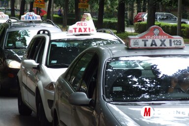 Az új szabályzatnak az a célja, hogy rendezze az újvidéki taxiszolgáltatások terén kialakult kaotikus helyzetet (Dávid Csilla felvétele)