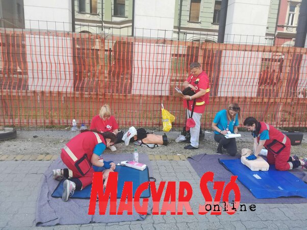 Bábokon is szimulálták az elsősegélynyújtást (Fotó: Lukács Melinda)