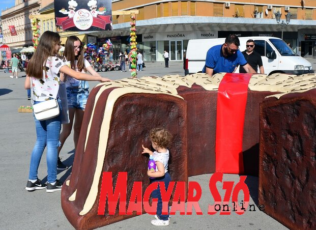 Fotó: Dávid Csilla