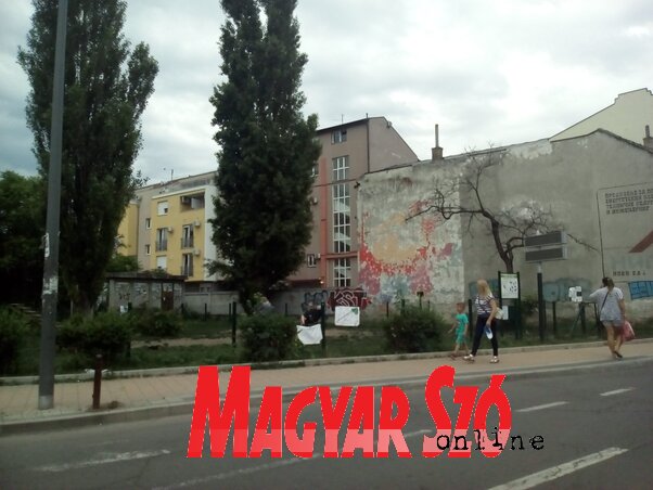 Fotó: Szeli Balázs