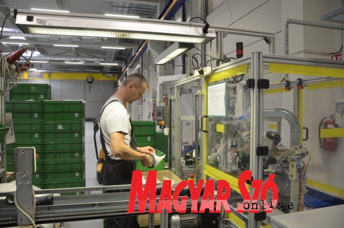 Év végéig százra szeretnék bővíteni az alkalmazottak számát (Fotó: Paszterkó Erika)