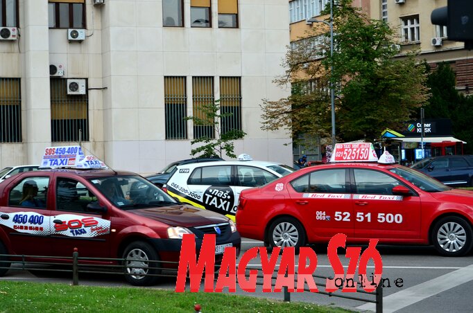 Taxisok Újvidéken (Dávid Csilla felvétele)
