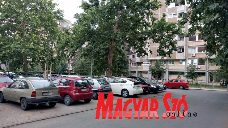 Fotó: Ótos András