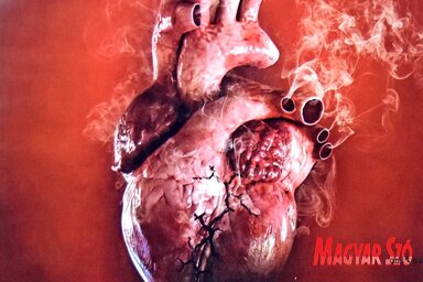 A dohányzás károsítja a szívet: válassza az egészséget a dohányzás helyett! – Az Egészségügyi Világszervezet az idei dohányzásmentes világnap középpontjába a dohányzás által okozott szív- és érrendszeri problémákat állítja (Fotó: Gergely Árpád)