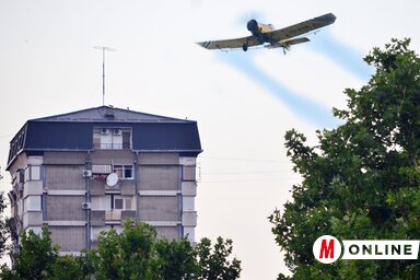 Elkezdődött a kullancsirtás Újvidék területén, hamarosan a szúnyogok is „rátesznek” (Dávid Csilla felvétele)