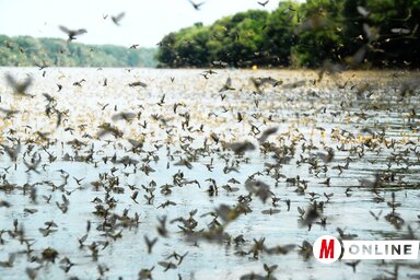 Fotó: Gergely József