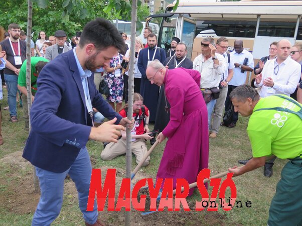 A keresztények/keresztyének, a békeszerető emberek vágyát jelképezi a vasúti híd közelében elültetett négy szildíszfa (Stanyó Károly felvétele) A keresztények/keresztyének, a békeszerető emberek vágyát jelképezi a vasúti híd közelében elültetett négy szildíszfa (Stanyó Károly felvétele)