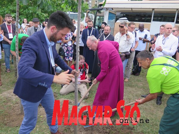 A keresztények/keresztyének, a békeszerető emberek vágyát jelképezi a vasúti híd közelében elültetett négy szildíszfa (Stanyó Károly felvétele)