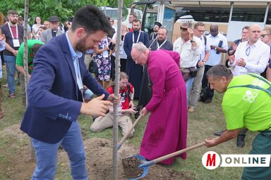 A keresztények/keresztyének, a békeszerető emberek vágyát jelképezi a vasúti híd közelében elültetett négy szildíszfa (Stanyó Károly felvétele)