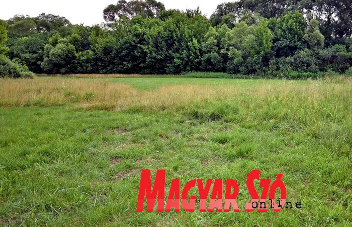 Az elkövető csak az első osztályú takarmányra tartott igényt (Fotó: Gergely Árpád)