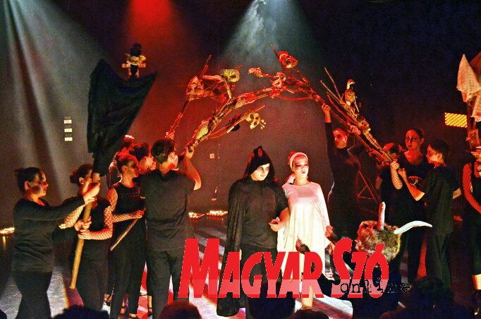 Fotó: Dávid Csilla