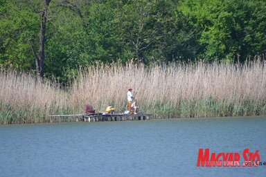 A meglévő mólókat be kell jelenteniük a tulajdonosaiknak, újak pedig csak külön engedéllyel épülhetnek (Dávid Csilla felvétele)