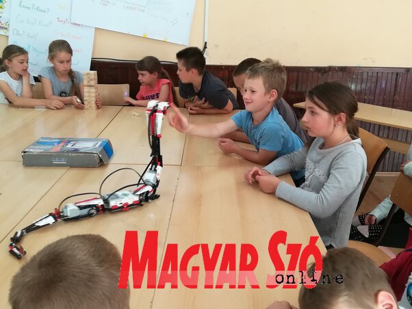 „Támad” a kígyót formáló robot (Csincsik Zsolt felvétele) „Támad” a kígyót formáló robot (Csincsik Zsolt felvétele)