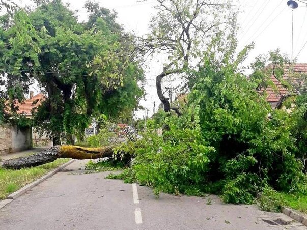 Útakadály a városközpontban (Fotó: Fekete J. József)