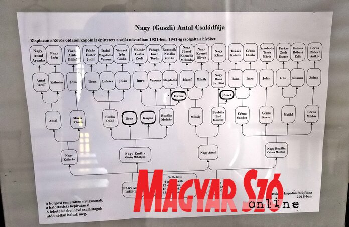 A kápolna belsejében megtekinthető Nagy (Guszli) Antal családfája (Gergely Árpád felvétele) A kápolna belsejében megtekinthető Nagy (Guszli) Antal családfája (Gergely Árpád felvétele)