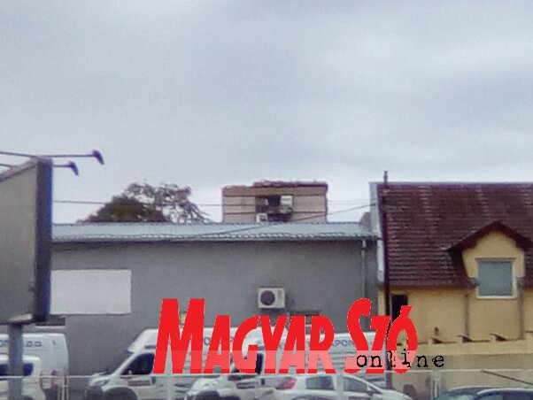 Győri Viktor felvétele Győri Viktor felvétele