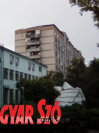 Győri Viktor felvétele Győri Viktor felvétele