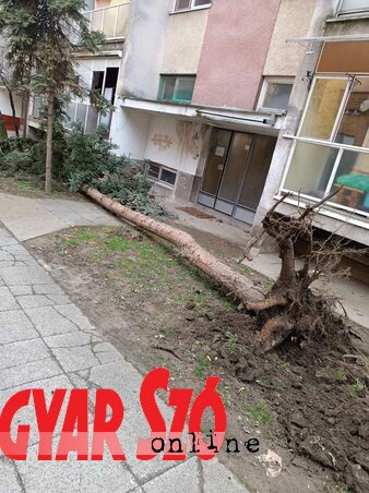 Paraczky László felvétele Paraczky László felvétele