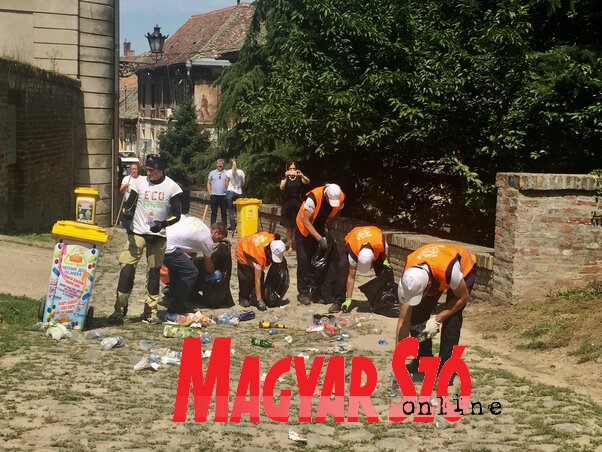 Az újvidéki Čistoća Közvállalat és a Kupakokkal a mosolyért elnevezésű civil szervezet munkatársai takarítják Péterváradot (Kis Laura felvétele)