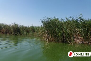 A Ludasi-tó (Fotó: Paszterkó Erika)