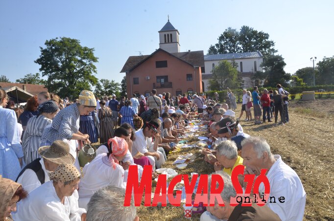 A megterített szalmabálák (Paszterkó Erika felvétele) A megterített szalmabálák (Paszterkó Erika felvétele)