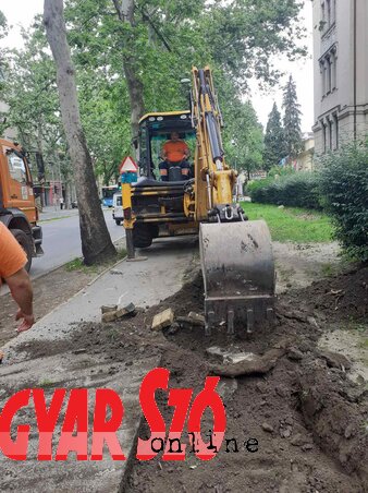 Dávid Csilla felvétele Dávid Csilla felvétele