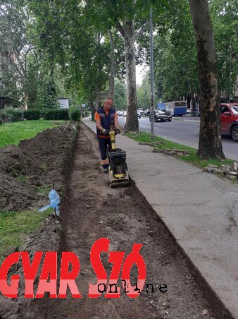 Dávid Csilla felvétele Dávid Csilla felvétele