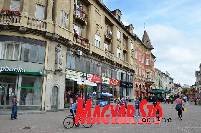 Szabadkán a közszférában maximum 2373-an dolgozhatnak (Ótos András felvétele) Szabadkán a közszférában maximum 2373-an dolgozhatnak (Ótos András felvétele)