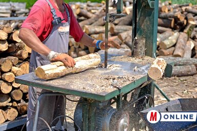 A legtöbb fatelepen a fa ára magában foglalja a vágást és a szállítást is (Fotó: Gergely Árpád)