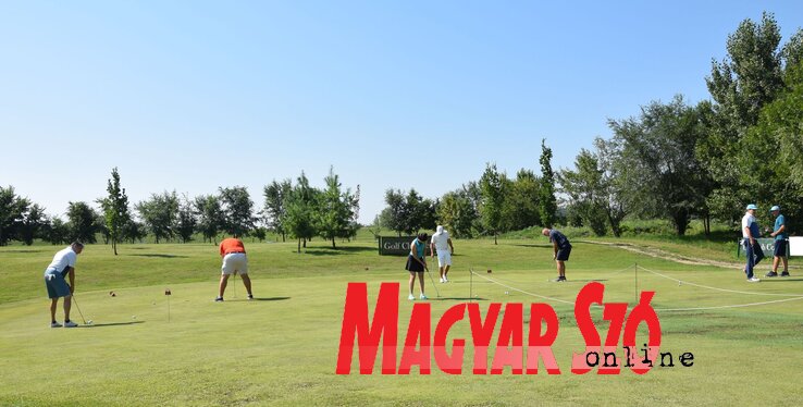 A fű, a szél, a pálya próbálgatását nem mulasztják el a golfjátékosok (Nagy Magdolna felvétele) A fű, a szél, a pálya próbálgatását nem mulasztják el a golfjátékosok (Nagy Magdolna felvétele)