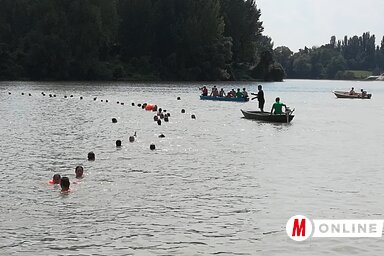 Szombaton élőlánc épült Bácska és Bánát között (Fehér Rózsa felvétele)