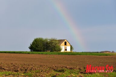 A kis parcellákat összevonják Csóka határában (Gergely József felvétele)