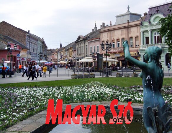 Dávid Csilla felvétele Dávid Csilla felvétele