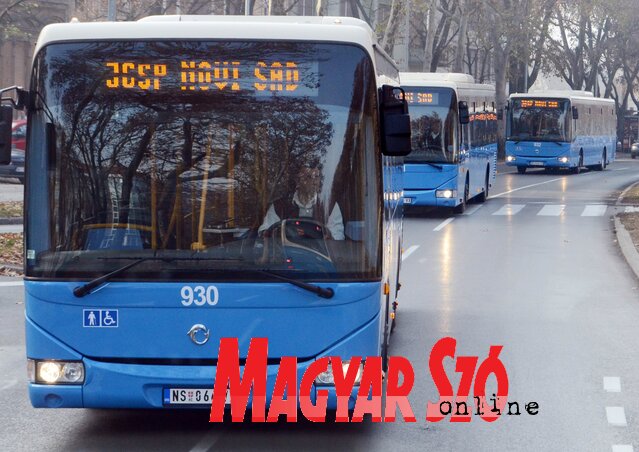 Szerbiában mintegy 5000 buszsofőr kellene még (Fotó: Szeli Balázs)