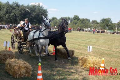 Célegyenesben (Horváth Zsolt felvétele)